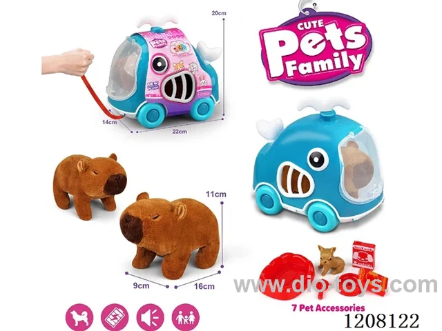 B/O pet