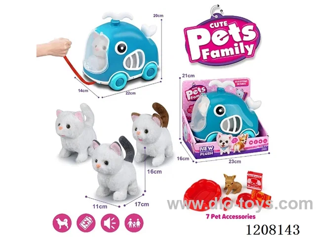 B/O pet(4colour mix)