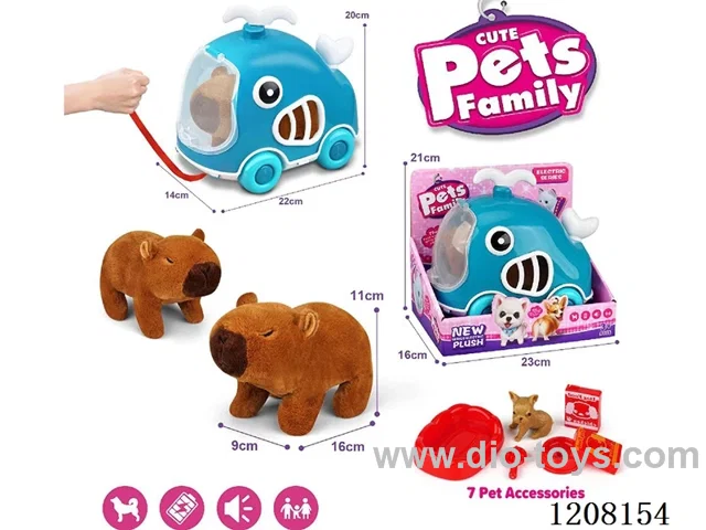 B/O pet