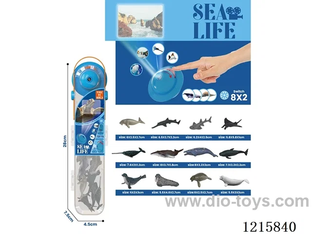 Ocean Projection 12PCS