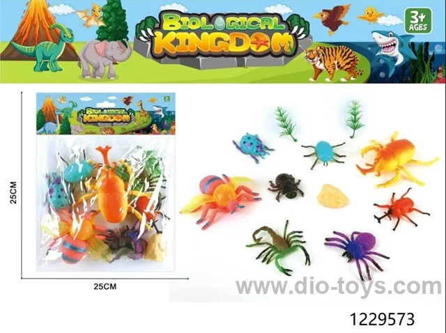 insect