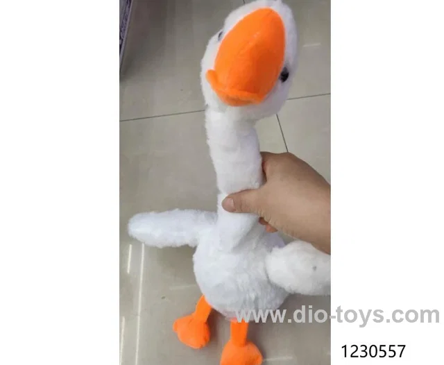 b/o toys