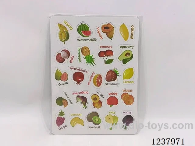 Fruit Fridge Magnets