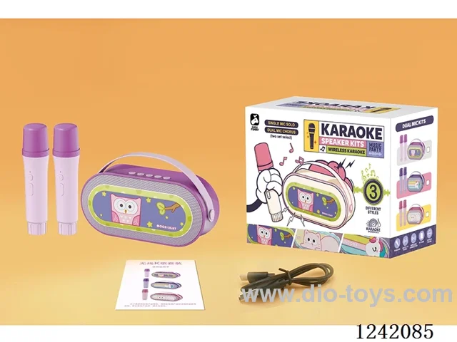 Dual Microphone Karaoke Set