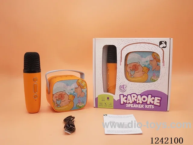 Single Microphone Karaoke Set