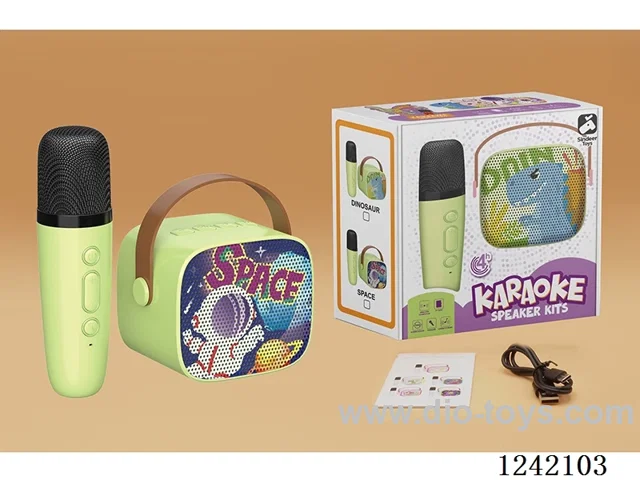 Single Microphone Karaoke Set