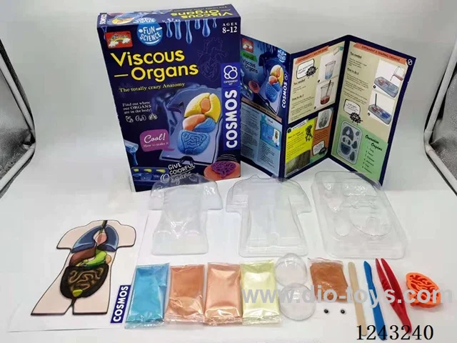 DIY anatomy of human organs interesting science plastic injection clay boutique set