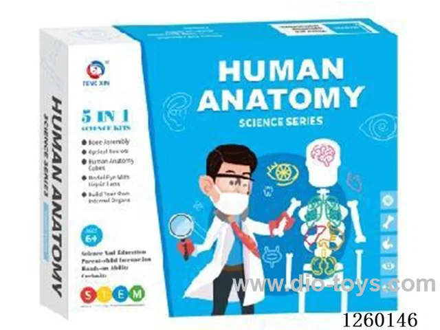 Human Body Science Experiment Series Kit