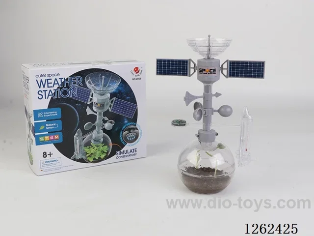 Space Weather Station