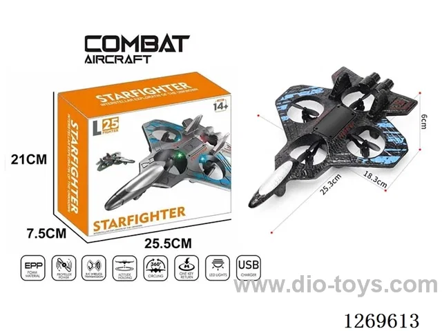 2.4G RC Foam Airplane