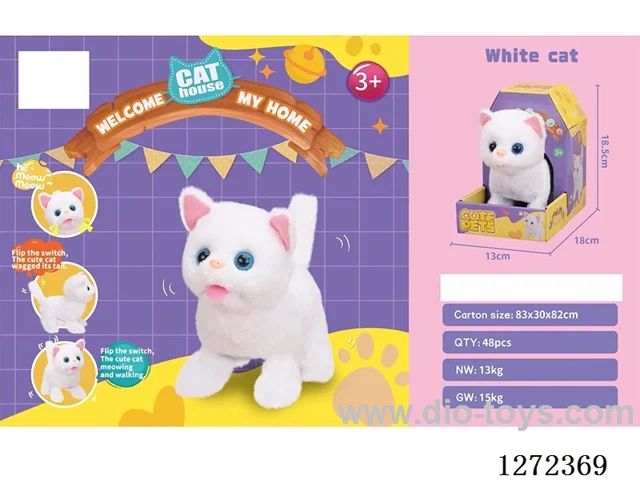 B/O cat