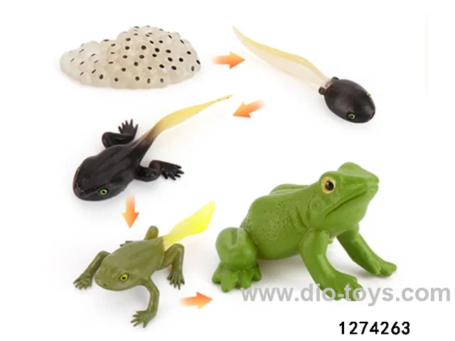 frog lifecycle toy in bag