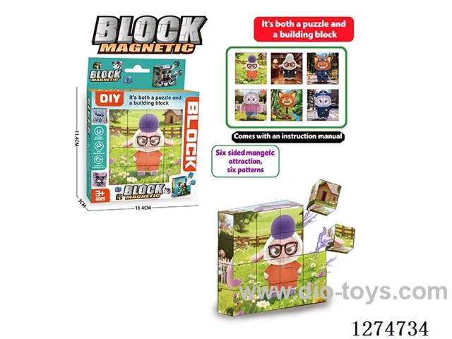 Magnetic Block Puzzles