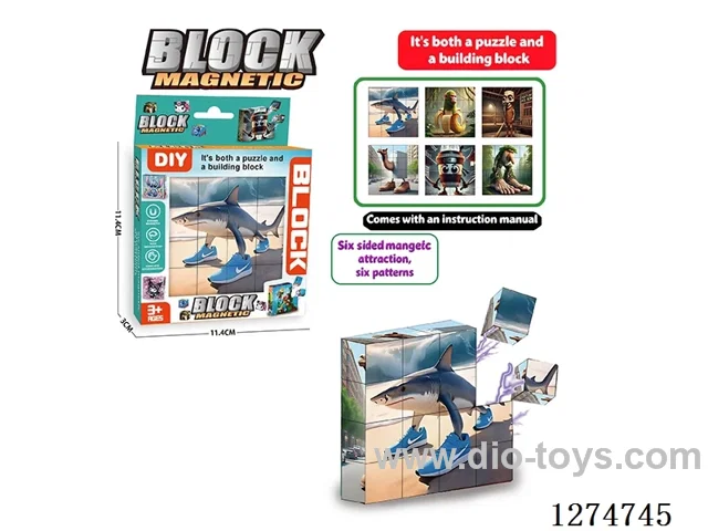 Magnetic Block Puzzles