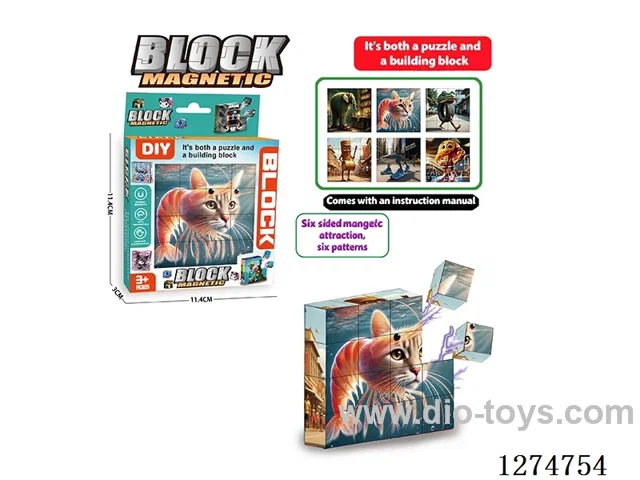 Magnetic Block Puzzles