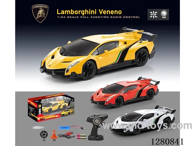 1:24 RC car