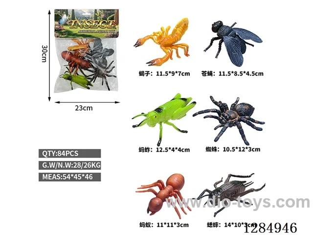 6 Large Insects