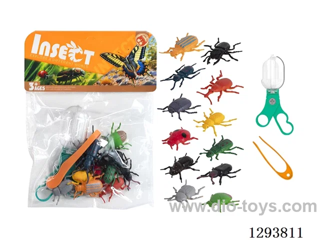 Educational Observation Clips with 12 Beetles