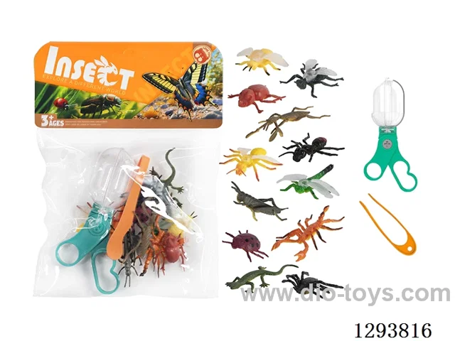 Educational Observation Clips with 12 Insects