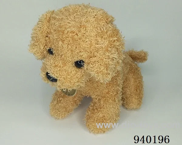 25cm Huang Taidi in Hangtag