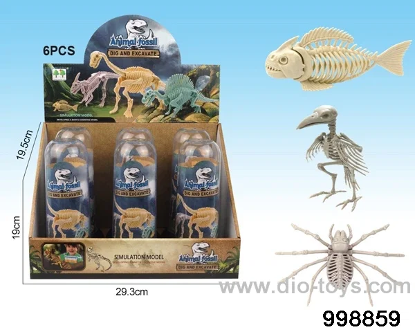6pcs Dinosaur fossils/3 asstd