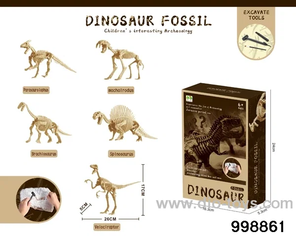 Dinosaur fossils/5 asstd