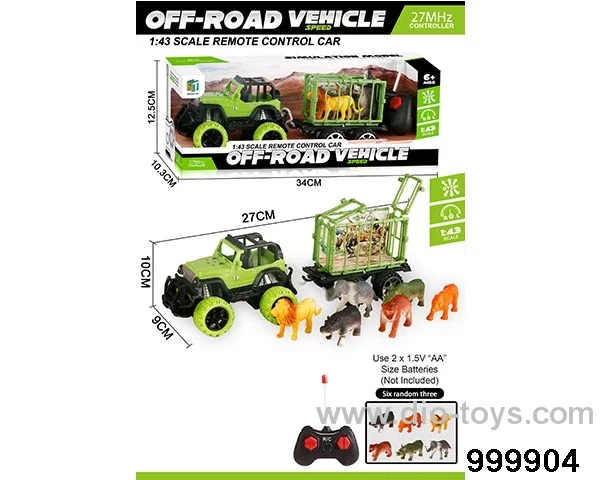 RC car in window box