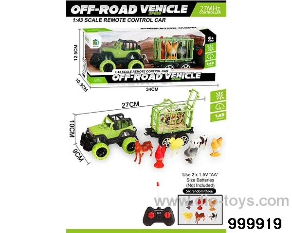 RC car in window box